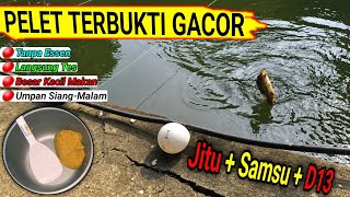Download lagu PELETI JITU || Umpan Ikan Mas Yang Sederhana Tapi Hasilnya Memuaskan mp3