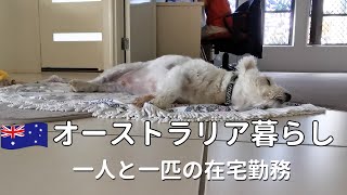 【オーストラリア暮らし】在宅勤務にサヨナラ｜在宅勤務の息抜き｜転職｜夫が作る夕飯｜50代主婦vlog