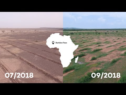 Burkina Faso after the rainy season