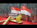 SG54 Special Cocktail: Sugarcane Twist