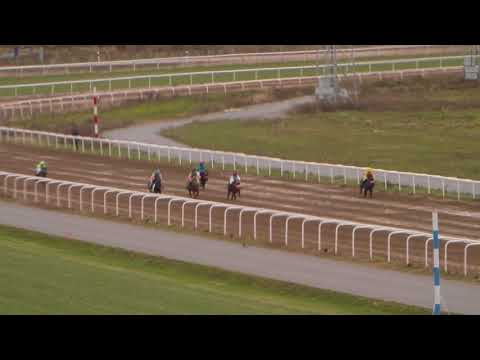 Lopp 5 29 Oktober 2017