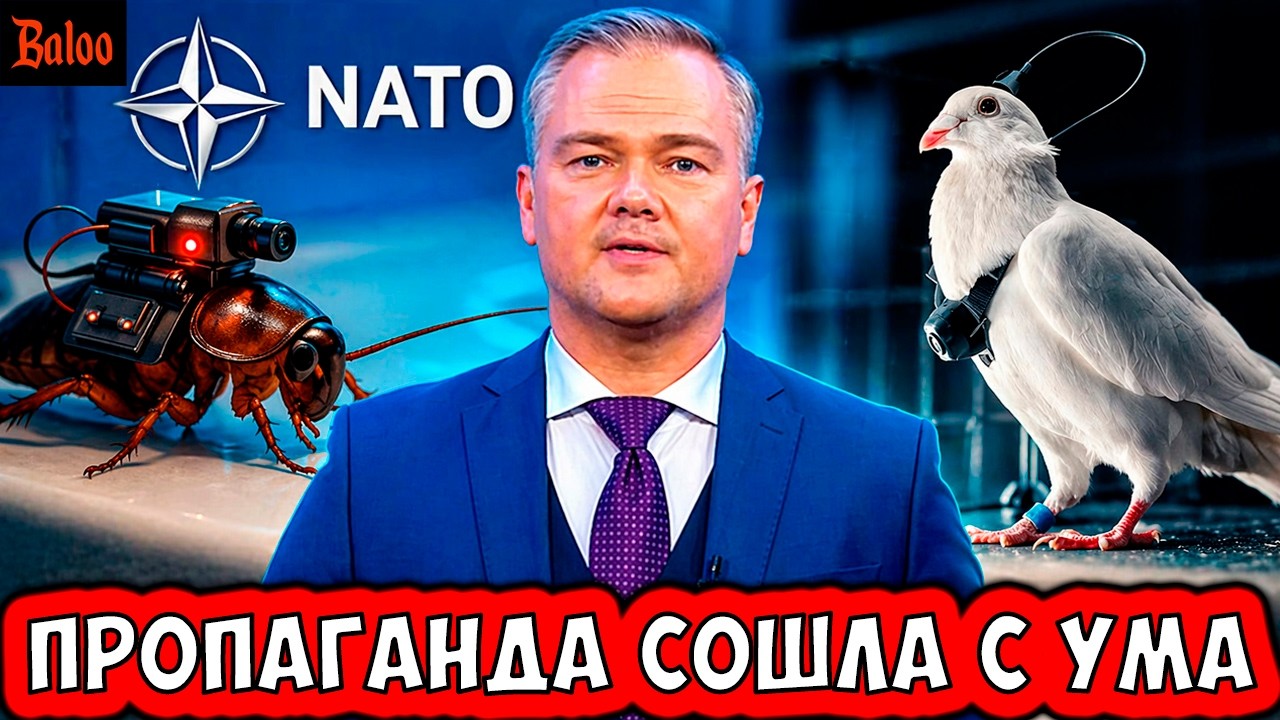 ПРОПАГАНДА СОШЛА С УМА. ТАРАКАНЫ НАТО