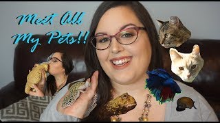 Meet All My Pets! | Channel Introduction