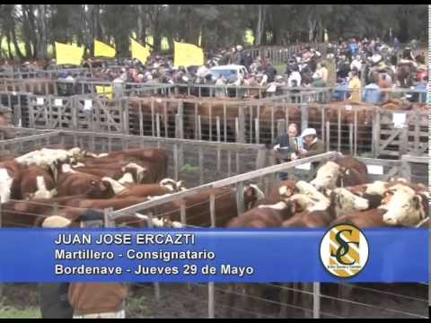 El Palenque de Beltran Hermanos - Bordenave - Palabras JUAN JOSE ERCAZTI - 29/05/2014