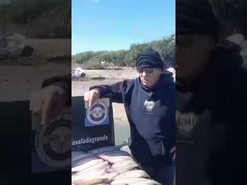 Tremenda pesca en Madariaga guia @rubenalezano tel +54 9 2267 53-9566.