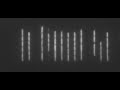 Newswise: How Bacteria Control Their Size