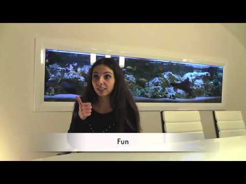 Brno Business Toastmasters: What we like about TM?