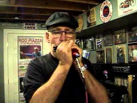 Custom Two-Tone Turner Harp Mic