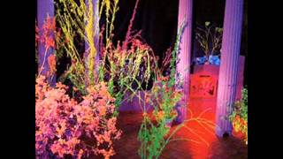 Hüsker Dü  - You&#39;re a soldier