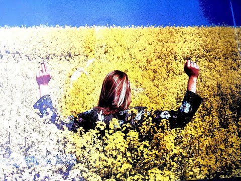 Karsten Koch - The Way