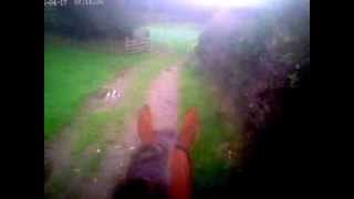 preview picture of video 'Cumbrian Heavy Horses in Milliom with 4 years old Bob.'