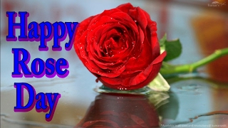 Happy Rose Day Wishes Greetings Whatsapp Video E-c