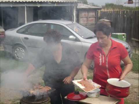 boscor de la gutinas