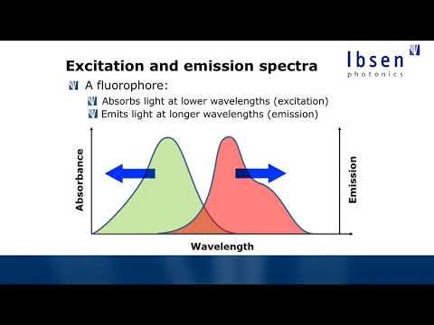 Fluorescence Spectroscopy Tutorial - Basics of Fluorescence