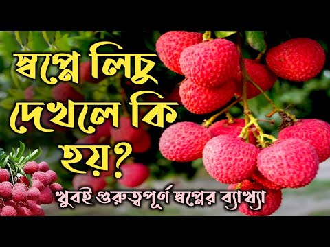 স্বপ্নে লিচু ফল দেখলে কি হয় | shopne lichu dekhle ki hoy | dreams explaination of the litchi |