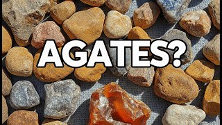 How to Identify Raw Agates: The 'Wax Luster' Test (Stop Picking Up Flint)