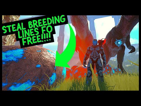 STEAL ANY BREEDING LINE!! NOGLIN SUPER POWERS!!!!!