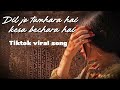 Dil Jo Tumhara Hai Kesa Bechara Hai Tiktok Viral Song Vibezzz