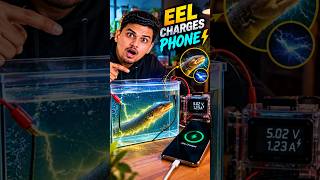 Can We Actually Charge Our Phone!