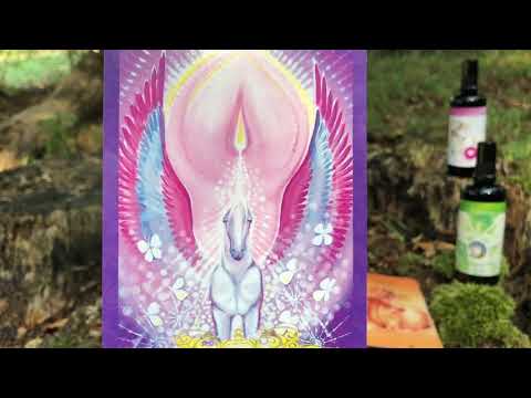 Seelenberührungs Orakel Teil 1.