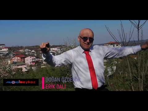 erik dalı DOĞAN ÖZDEMİR