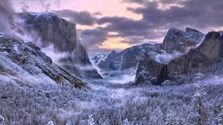 Arizona - Paragon