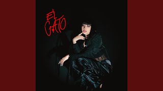 El Gato Lyrics English Translation