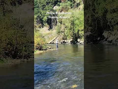 Pesca Rio Mundo Nuevo, Arauco, Biobio