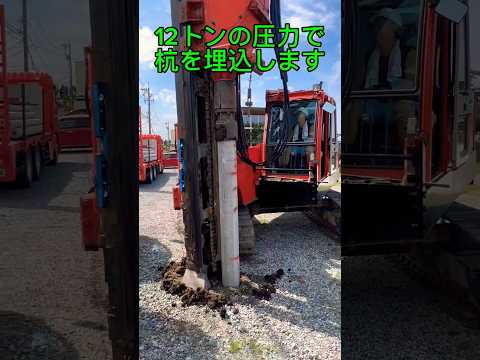 若い木を杭打ちするのは義務ですか？「はい」ですか、「いいえ」ですか？木を杭打ちする必要があるかどうかを評価するにはどうすればよいですか?  庭園