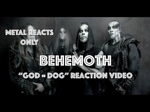 BEHEMOTH "God = Dog" Reaction Video | Metal Reacts Only | MetalSucks