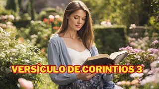 mensagem antigo testamento da biblia sagrada /versículos de 1 corintios da biblia sagrada #palavra