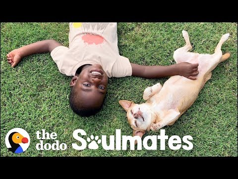 download lagu mp3 mp4 Cute Guy With Dog, download lagu Cute Guy With Dog gratis, unduh video klip Cute Guy With Dog