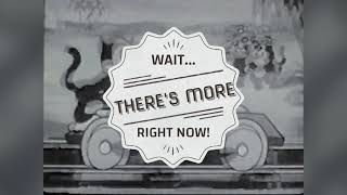 When Yuba Plays the Rumba on the Tuba (1933)