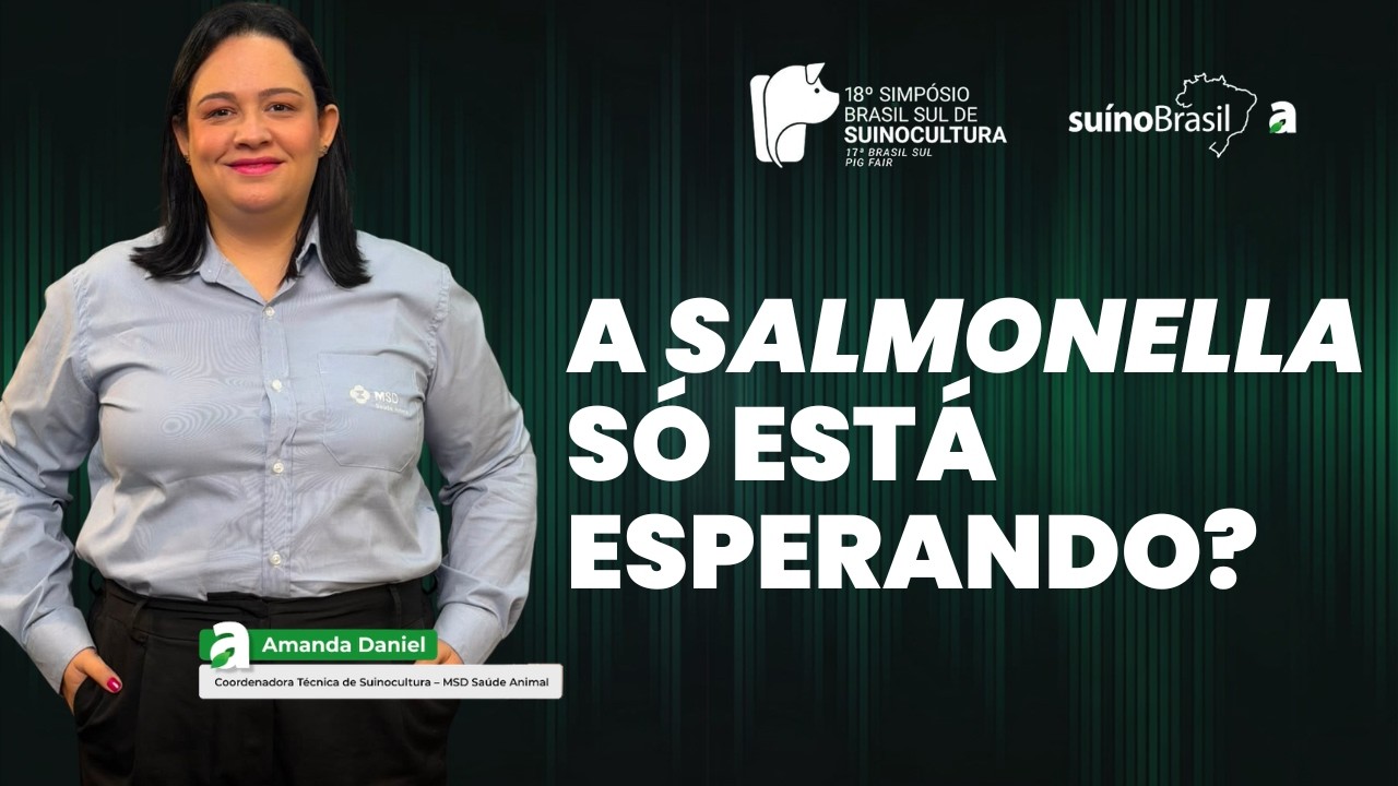 A Salmonella já pode estar na granja: o que faz o problema “explodir”?