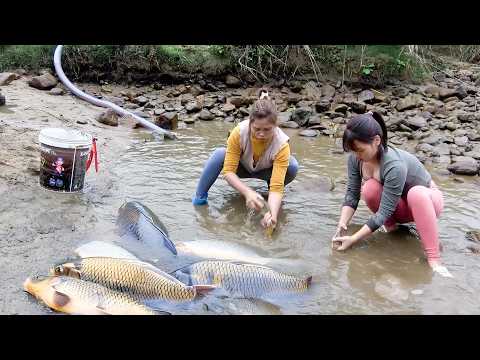 Skills to Catch Unique Fish: Primitive Fishing Skills, Catch Redfish Underground by Hand