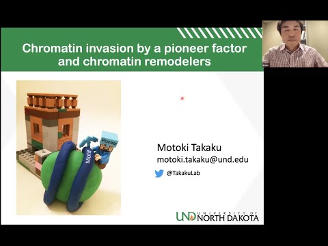 Motoki Takaku: "Chromatin invasion by pioneer factor and chromatin remodelers"