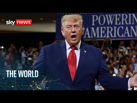 Trump's agenda on the line as US midterms draw near | The World