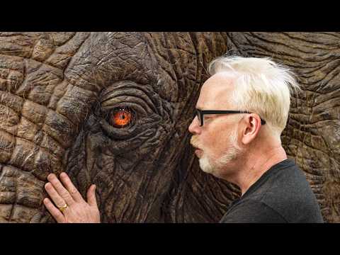 The (Fake) Elephant in the Room