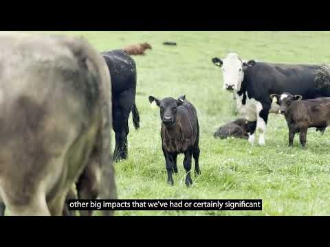 Meating Our Potential - Graham Lofthouse