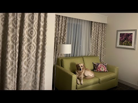 Room Tour Hampton Inn Wilson North Carolina Driving from New York to Florida Interstate Hotel