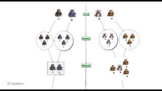Test medicina -  Chimica: Materia, Atomi, Molecole, Composti