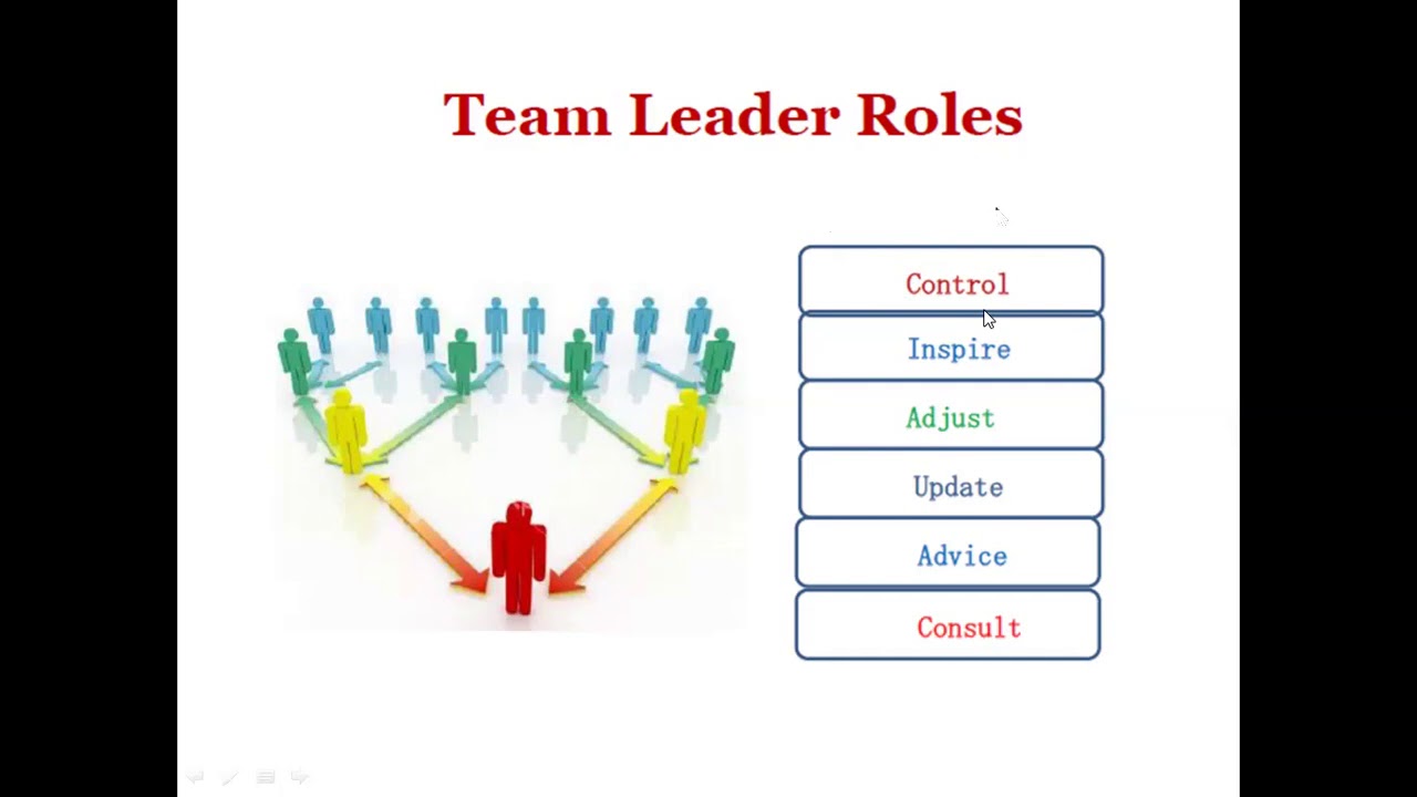Teamwork in Software Engineering Projects