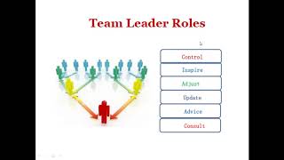 Teamwork in Software Engineering Projects