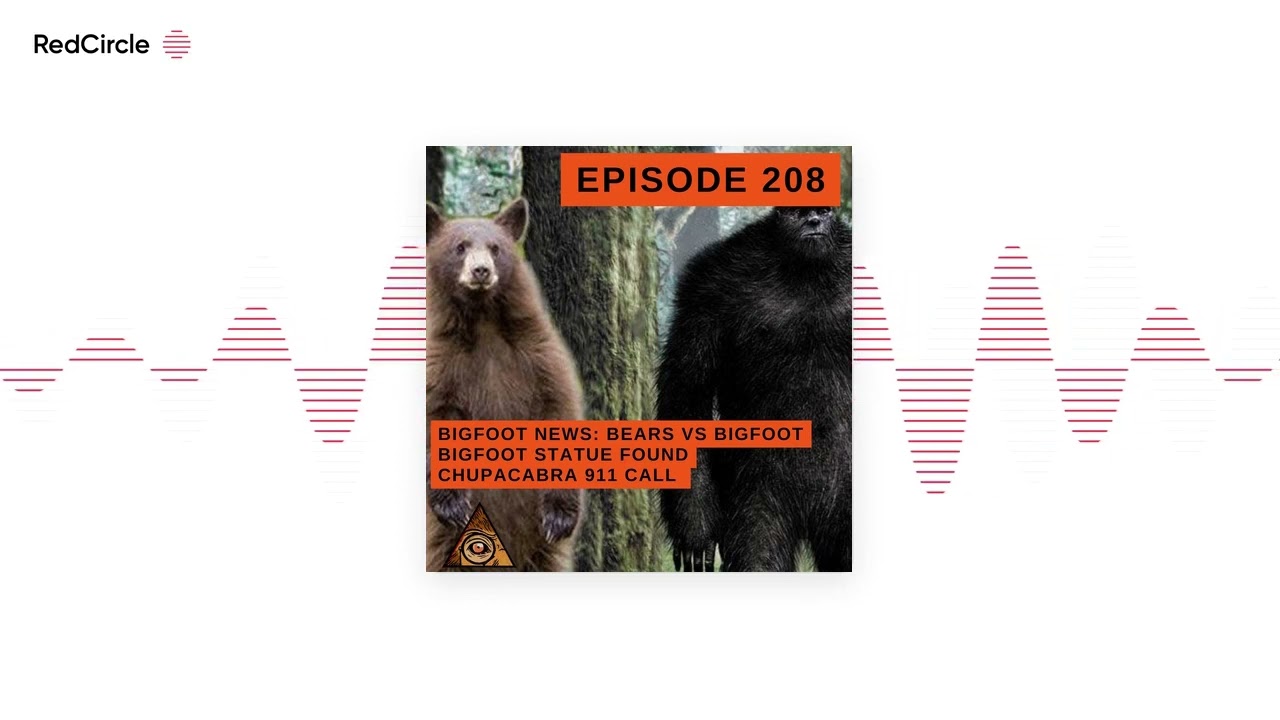 Bigfoot News (02/05/23) Bears vs Bigfoot, Bigfoot Statue Found, Chupacabra 911