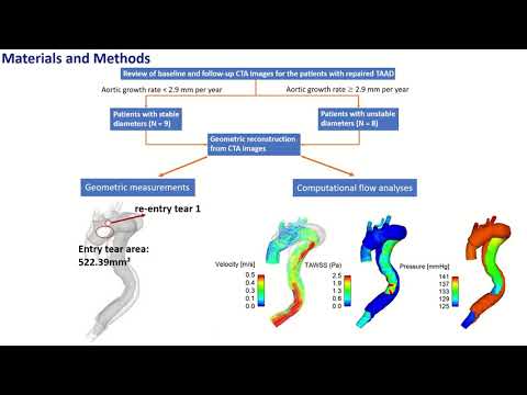 Hemodynamic factors associated with progressive aortic dilatation following type A aortic...
