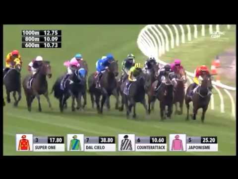 COOLMORE STAKES 2015 - Japonisme