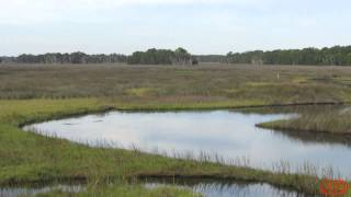 preview picture of video 'AROUND HOMOSASSA- Chassahowitzka NW Refuge'
