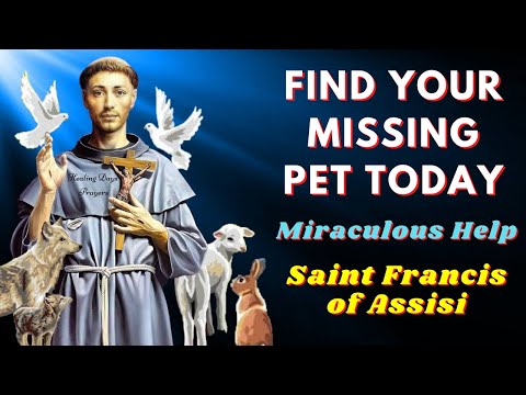 🙏Prayer to Saint Francis of Assisi for my Lost Pet to Appear and Return Home🙌