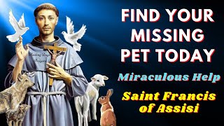 🙏Prayer to Saint Francis of Assisi for my Lost Pet to Appear and Return Home🙌