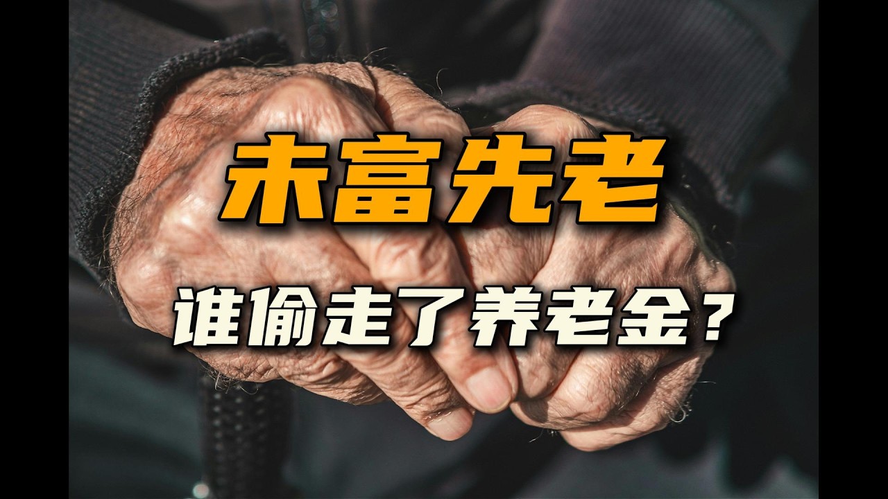 谁偷走了农民养老金？【汤山老王】